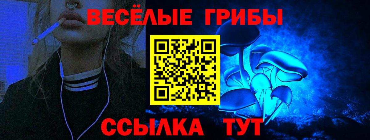 Псилоцибиновые грибы Psilocybe Ангарск