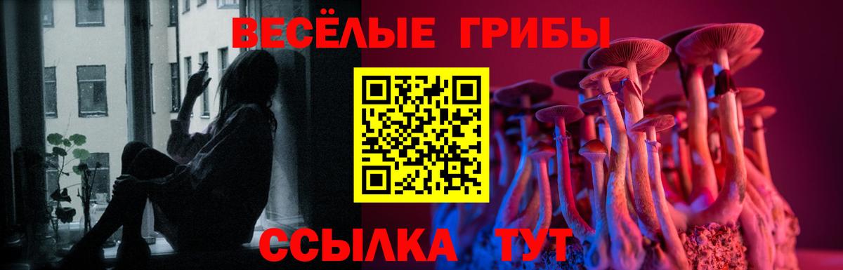 Ангарск  Галлюциногенные грибы Magic Shrooms  Вход с VPN  даркнет сайт  Псилоцибиновые грибы Cubensis 